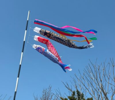 5月写真