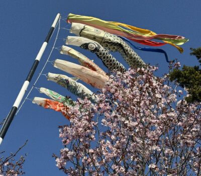 5月写真